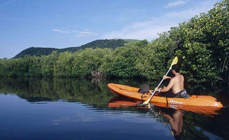 Ixtapa-Zihuatanejo: Barra de Potosi Scenic Lagoon Tour - The Boat Ride: A Unique Perspective