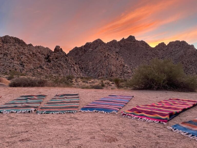 Joshua Tree: Soundbath Under The Stars - Authentic Feedback from Guests