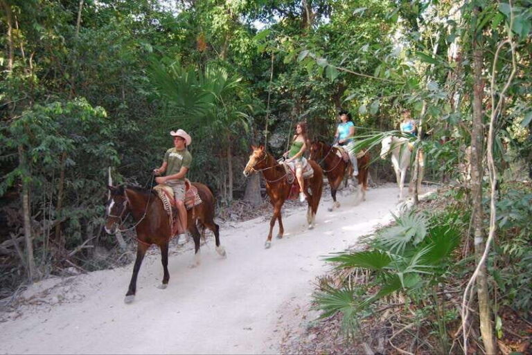 Jungle Ziplining & Horseback Riding Adventure Experience - Exploring the Day Step by Step
