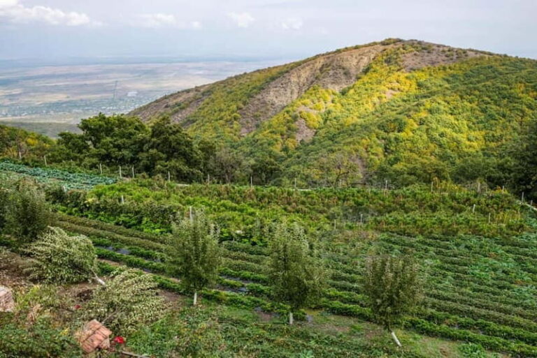 Kakheti's Contrasts: Faith & Fairytale, Bodbe & Sighnaghi - An In-Depth Look at the Tour