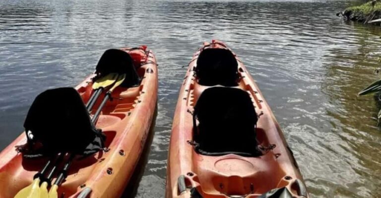 Kauai: Guided Kayak and Hike to Secret Falls - An In-Depth Look at Kauai’s Secret Falls Tour