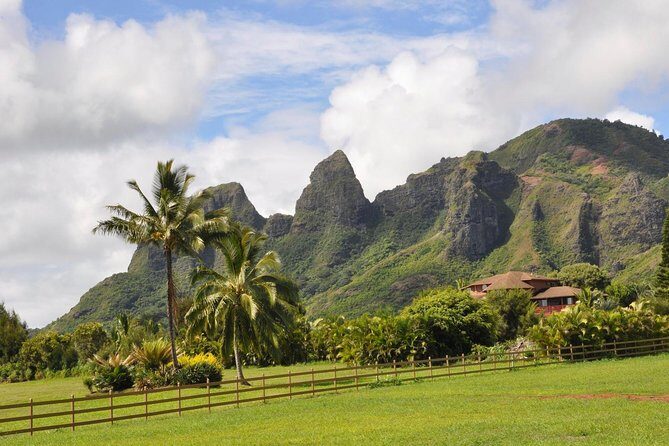 Kauai Highlights & Movie Sites - What Makes This Tour Stand Out?