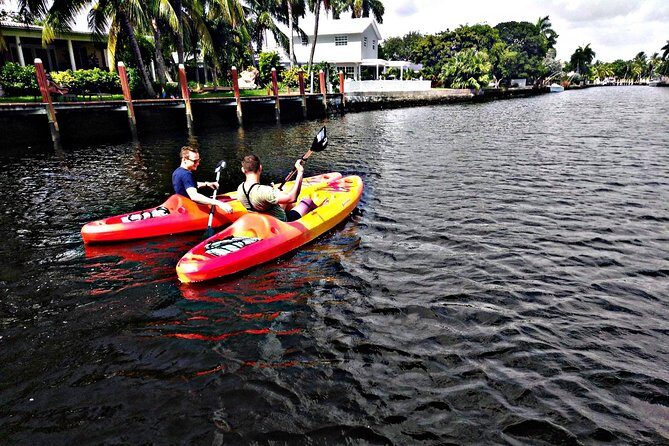 Kayak Rental: Explore Mangroves and Self-Navigated River Eco Paddle - What to Expect on Your Paddle