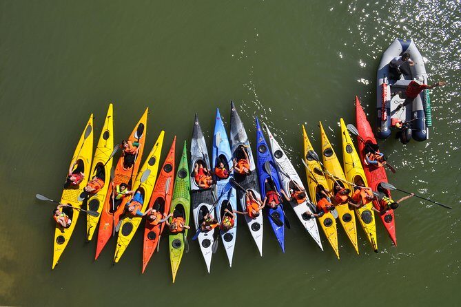 Kayak tour in Seville - Deep Dive into the Route and Highlights