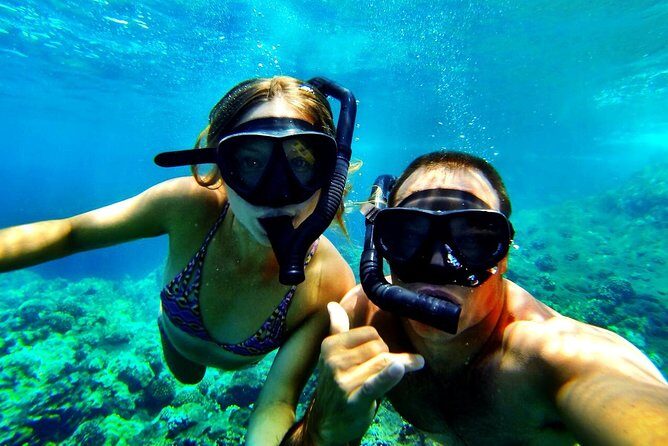 Kealakekua Bay Captain Cook Snorkel Exclusive - Itinerary in Detail: What You Can Expect