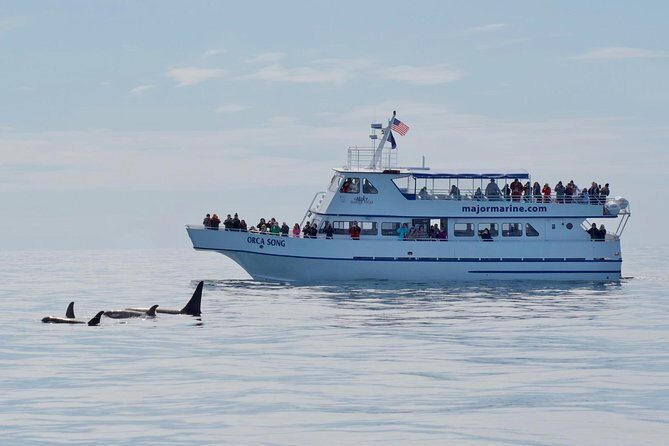 Kenai Fjords Orca Quest Cruise - Wildlife and Scenic Highlights