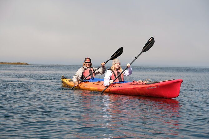 Ketchikan Shore Excursion: Eagle Island Sea Kayaking - Practical Considerations: Who Should Book This?