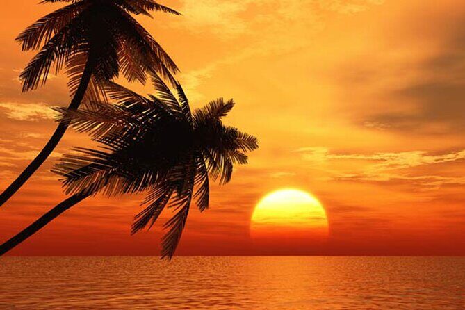 Key West Tiki Bar Sunset Cruise (by the seat) - Who Will Love This Tour?