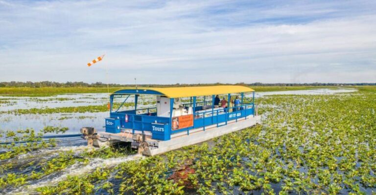 Kissimmee: Florida Everglades Pontoon Boat Tour - Value and Practical Considerations