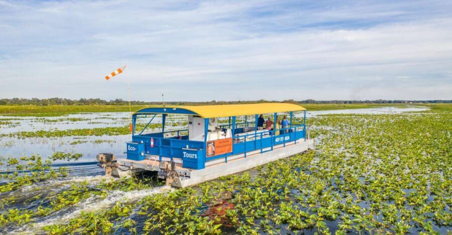 Kissimmee: Florida Everglades Pontoon Boat Tour - Value and Practical Considerations