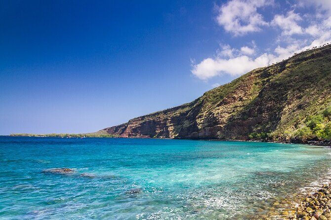Kona Coast Cruise: Snorkel Kealakekua Bay & Dolphin Encounter - Wildlife Encounters and Marine Life