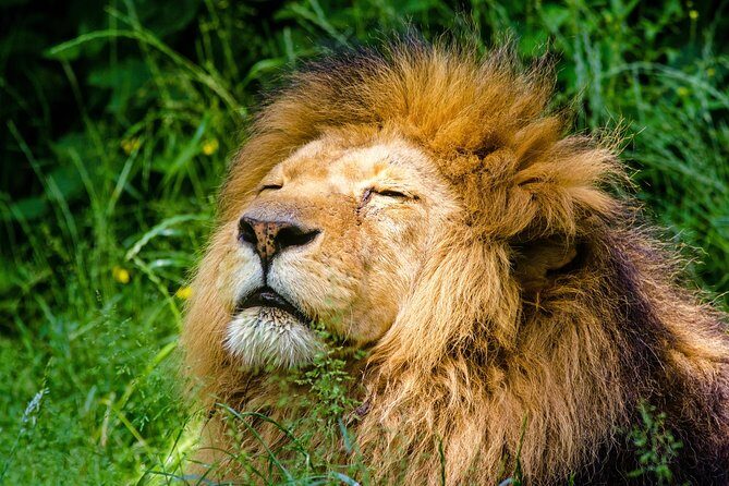 Krakow: Zoo with Hotel Transfer - Practical Tips for Your Visit