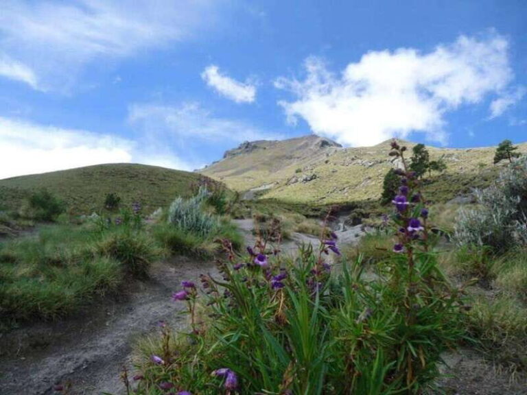 La Malinche Volcano: Hike to the Top and Explore Tlaxcala - The Itinerary in Detail