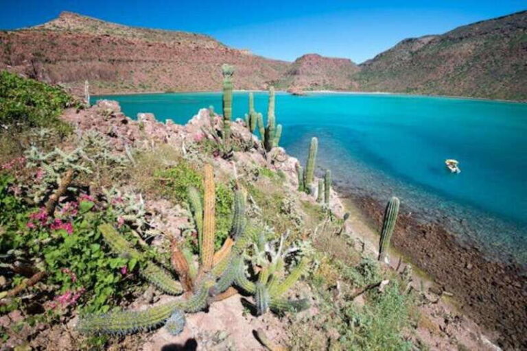 La Paz: 3-Beach Snorkeling Tour with Lunch and Drinks - The Itinerary: A Day of Contrasts and Natural Beauty