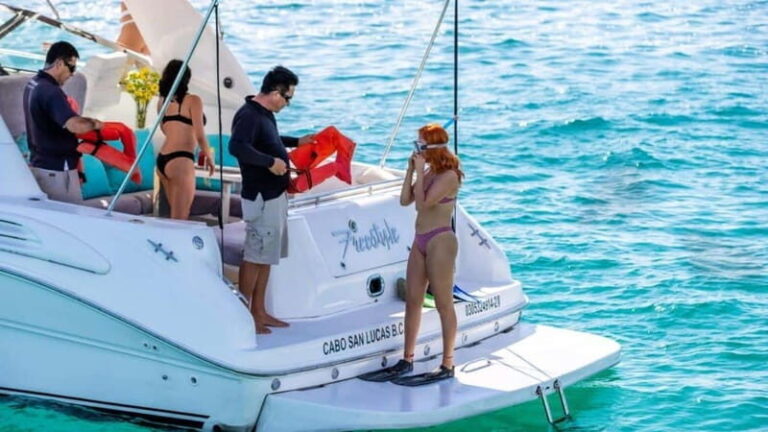 La Paz: Day Cruise & Snorkelling (w/sea lions) Food & Drinks - The Itinerary Breakdown: What Makes Each Stop Special
