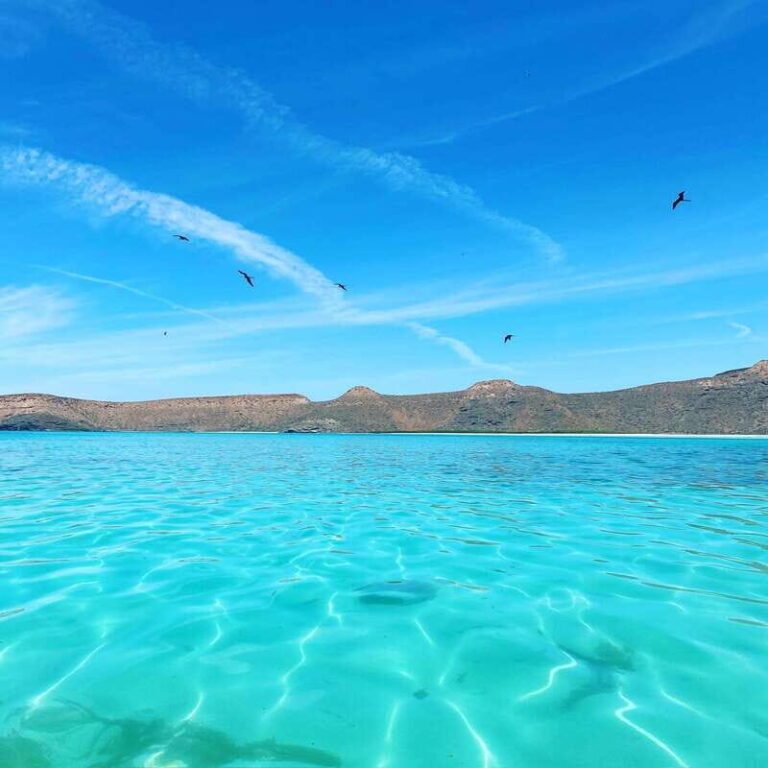 La Paz: Espiritu Santo Island Tour - What to Expect from Each Part of the Day
