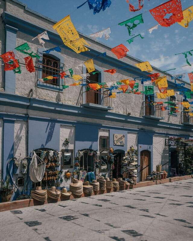 La Paz: Todos Santos Day Trip - Who Will Love This Tour?