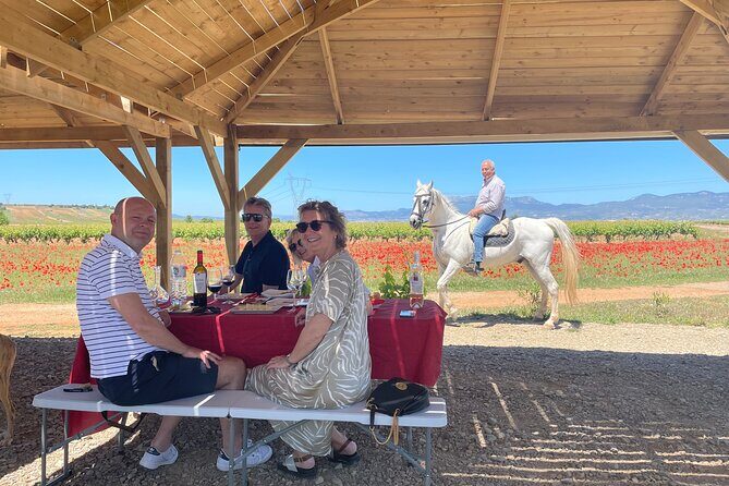 La Rioja Boutique Wine Tour & Charming Lunch (From Bilbao) - An In-Depth Look at the Rioja Boutique Wine Tour