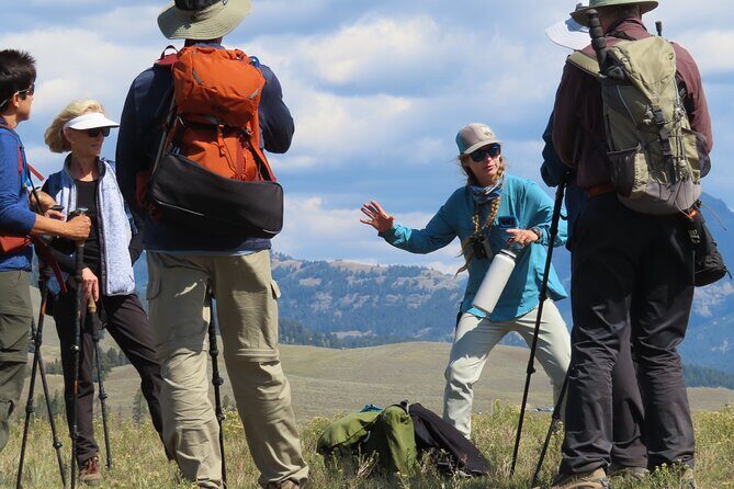 Lamar Valley Safari Hiking Tour with Lunch - What Makes This Tour Stand Out?