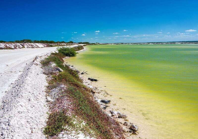 Las Coloradas: Full-day tour to the Pink Lake & Rio Lagartos - Who Will Love This Tour?