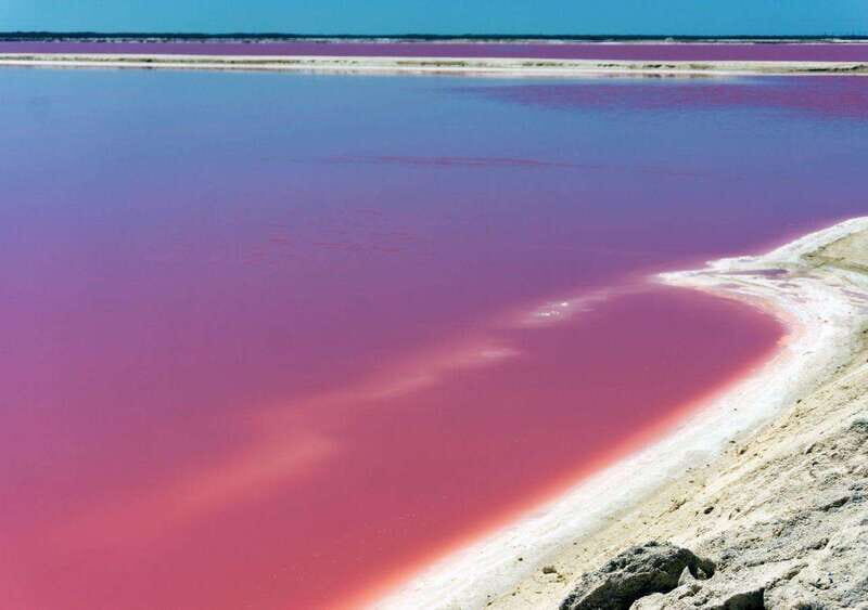 Las Coloradas: guided visit, Río Lagartos boat tour & lunch - Exploring Río Lagartos and Its Wildlife