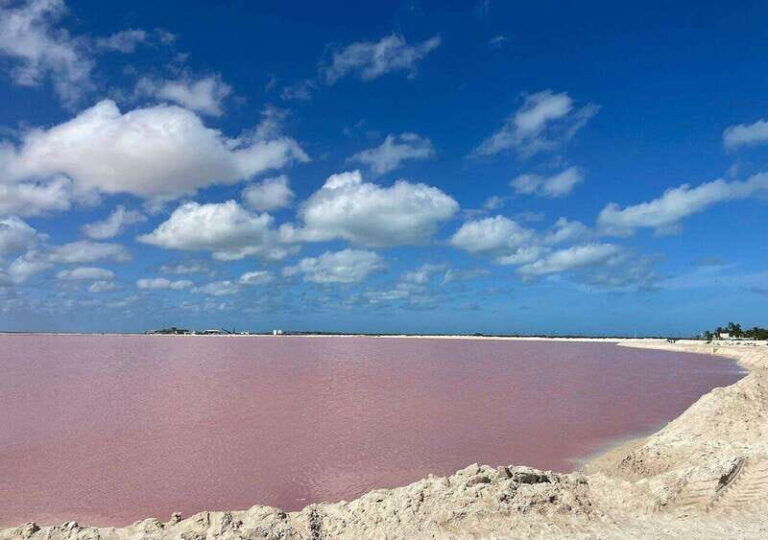 Las Coloradas: Tour to the Pink Salt Lake and Rio Lagartos - The Practicalities: What You Need to Know
