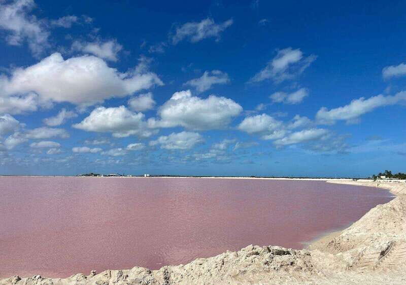 Las Coloradas: Tour to the Pink Salt Lake and Rio Lagartos - The Practicalities: What You Need to Know