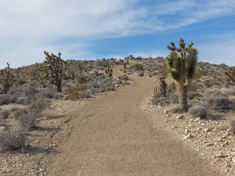 Las Vegas ATV Tours - What to Expect on Your ATV Adventure