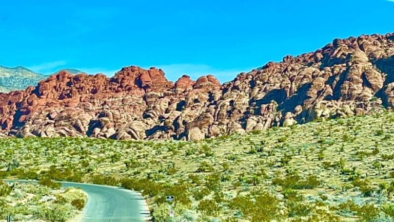 Las Vegas: Private Red Rock Canyon Guided Driving Adventure - Who Is This Tour Best For?