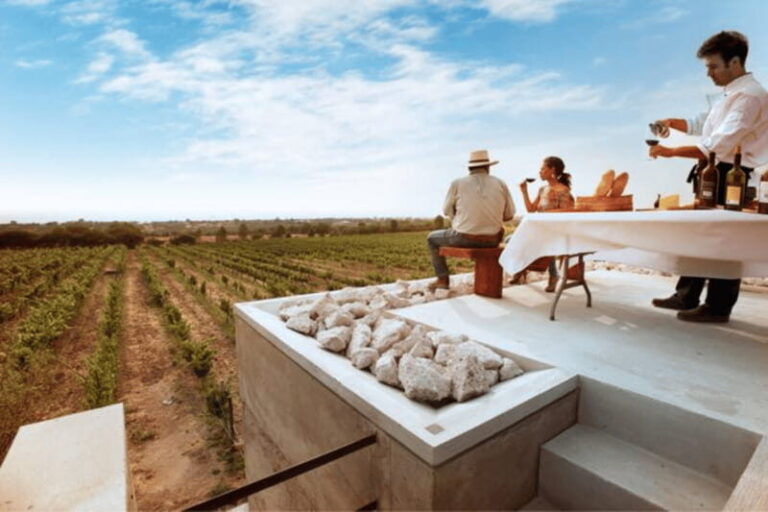 León: Wine Tour at Viñedo Leones & City Center Exploration - Final Thoughts