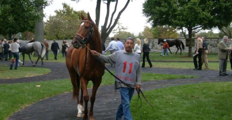Lexington: Thoroughbred Horse Farm Tour and Scenic Bluegrass - The Value of This Tour