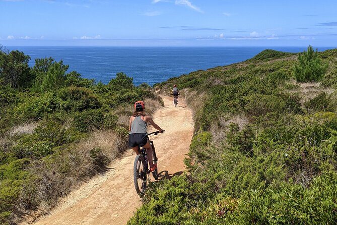 Lizandro Trails - Mountain Biking - The Value Proposition