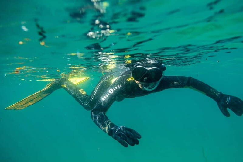 Lofoten: Family Snorkeling Tour - What’s Included and Why It Matters