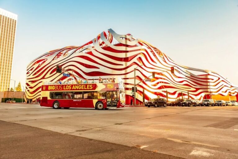 Los Angeles: Hop-on Hop-off Sightseeing Tour by Open-top Bus - What to Expect From Your LA Bus Tour