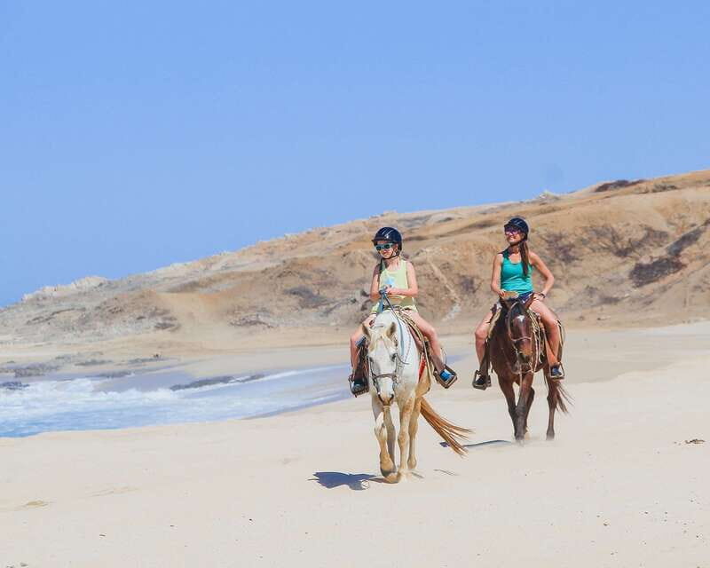 Los Cabos: 2 in 1 Combo Tour - What to Expect from the Tour