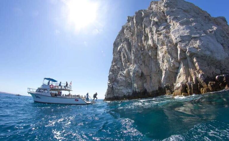 Los Cabos 3-Hour Certified Scuba Diving Tour - What to Expect from the Tour