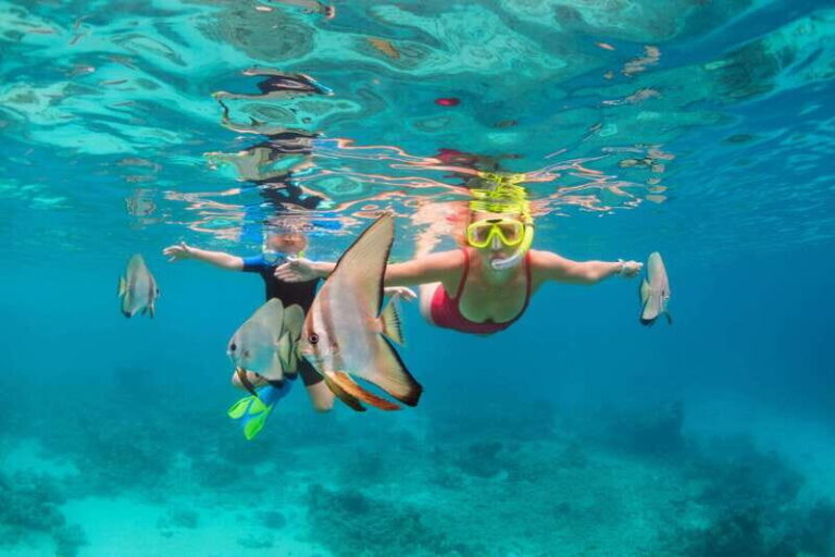 Los Cabos: Beach Pass at Wild Bay - What We Like (And What You Should Consider)