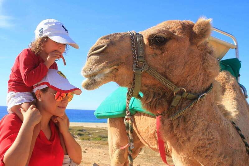 Los Cabos: Camel Ride Safari with Lunch and Tequila Tasting - The Experience Provider and Practical Details