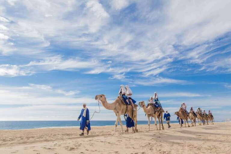 Los Cabos: Desert & Sea Camel Safari Tour with Lunch - Final Thoughts