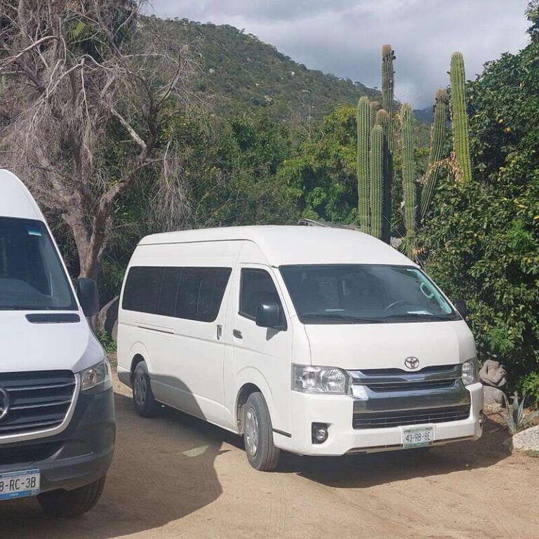 Los Cabos: Private Shopping Tour with Transportation - The Stops and Their Charm