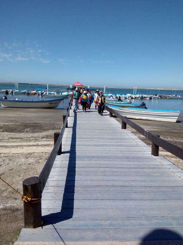 Los Cabos: Private Tour with Roundtrip Transfers - Who is this tour perfect for?