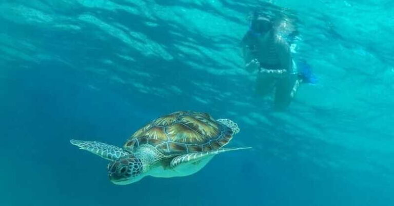 Luxury Sailing and Snorkeling Puerto Aventuras - An In-Depth Look at the Experience