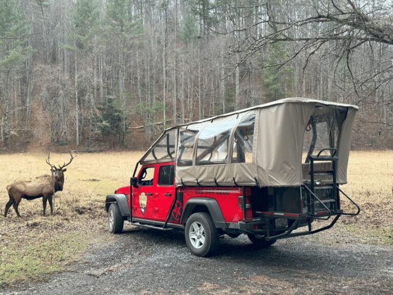 Maggie Valley: Guided Safari Jeep Mile-High Adventure - What Makes This Tour Stand Out