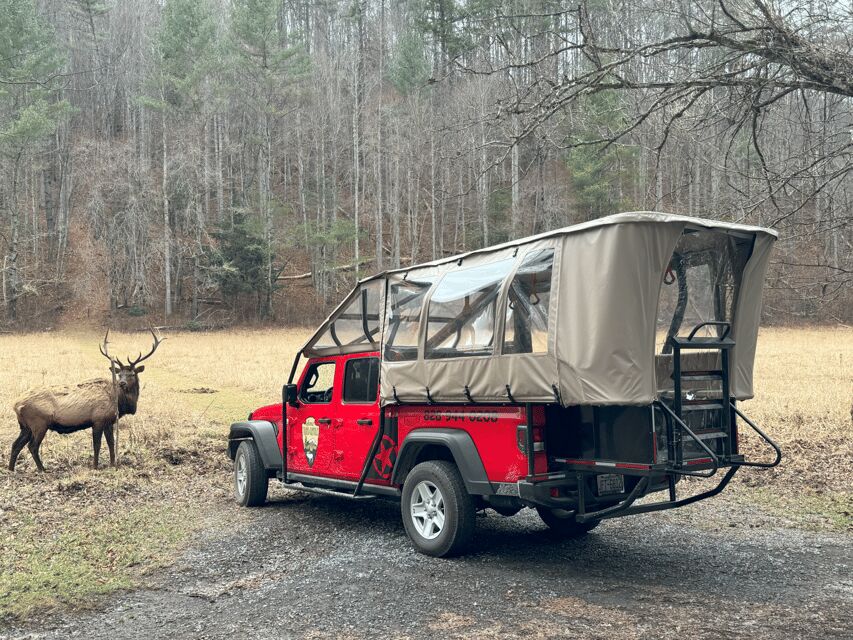 Maggie Valley: Guided Safari Jeep Mile-High Adventure - What Makes This Tour Stand Out