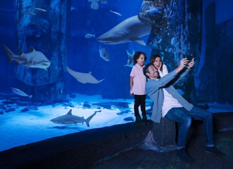 Mall of America: Sea Life Minnesota Aquarium Entry Ticket - Experiential Highlights and Authentic Insights