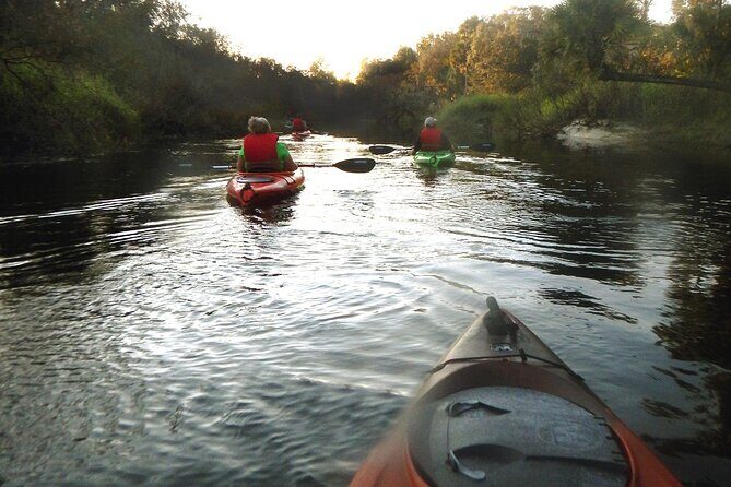 Manatee and Dolphin Kayaking Encounter - The Sum Up: Why Choose This Kayak Tour?