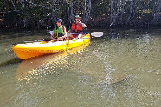 Manatee and Dolphin Kayaking | Wildlife Refuge (Titusville) - Why It’s a Great Value