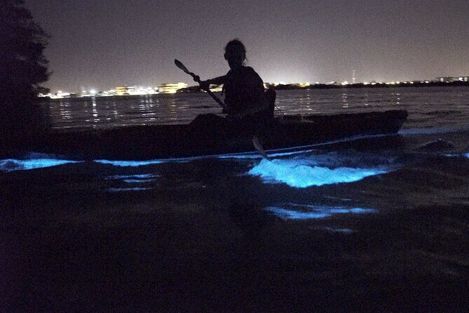 Manatees/Sunset/Bioluminescence Tour - The Experience Provider