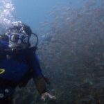 Marmaris Full Day Scuba Diving Two Dives With Lunch Hotel pickup - The Itinerary: What to Expect from Morning to Afternoon