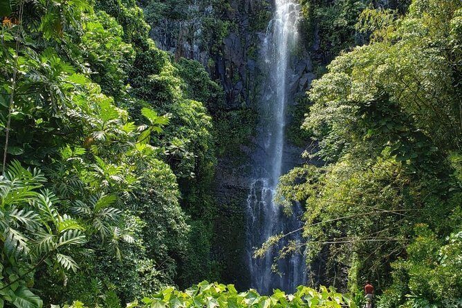 Maui Exclusive - Road to Hana Adventure - Just for Your Group - The Practicalities: What to Expect